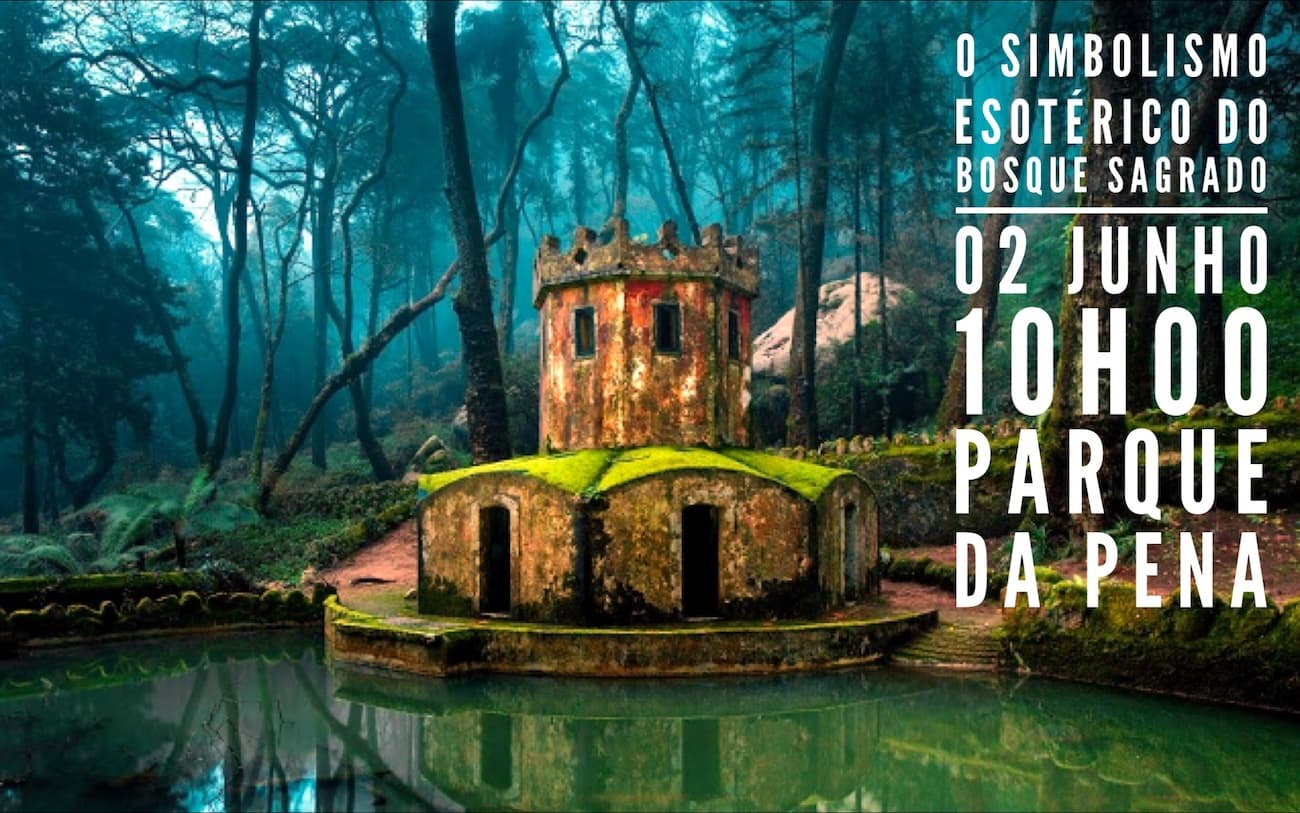 A Grande Loja Soberana de Portugal e os Altos Graus do Rito Português organizam eventos culturais e solidários abertos à sociedade? — fotografia 9